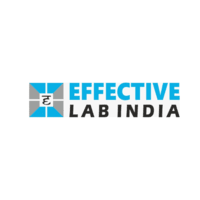 Effective Lab India